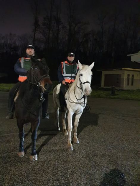 sz_tel_2025.jpg sz_tel_2025.jpg